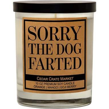 Dog candle
