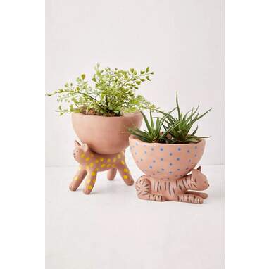 Cat planters