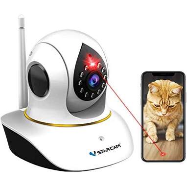 Cat camera
