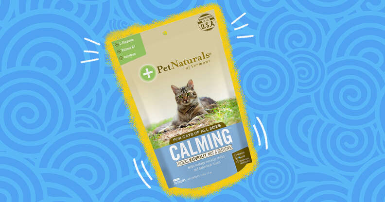 Pet naturals best sale calming treats