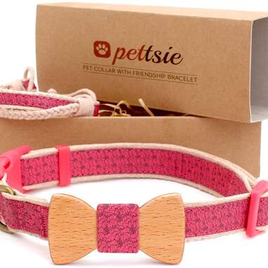 Dog friendship collar