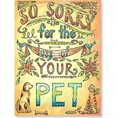 7 Best Pet Sympathy Cards For The Loss Of A Pet Dodowell The Dodo