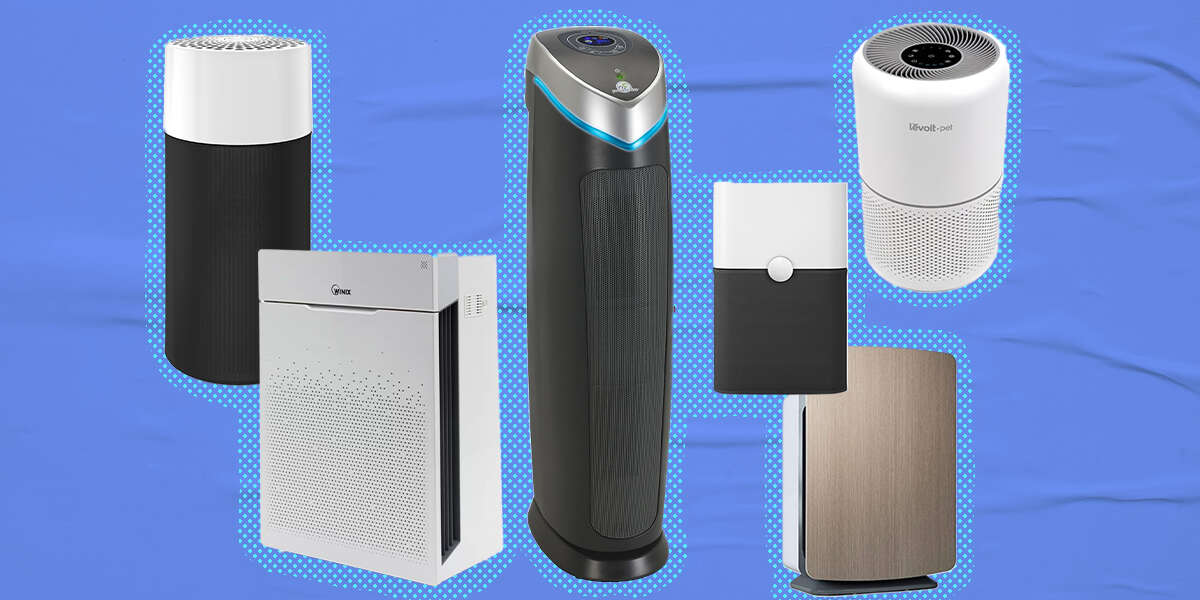 The 7 Best Air Purifiers For Living With Pets DodoWell The Dodo