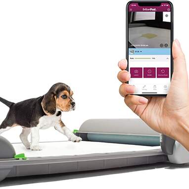 Automated puppy pad