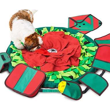 Dog snuffle mat