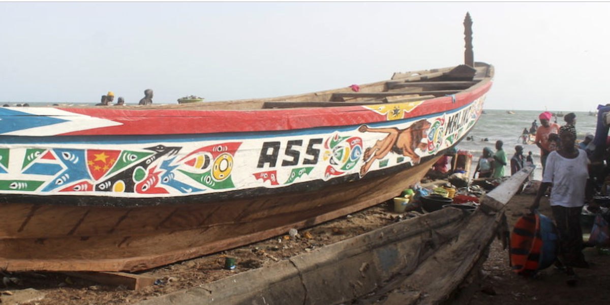 Growing Tension Over Illegal Fishing and Pollution in The Gambia - Vimarsana News