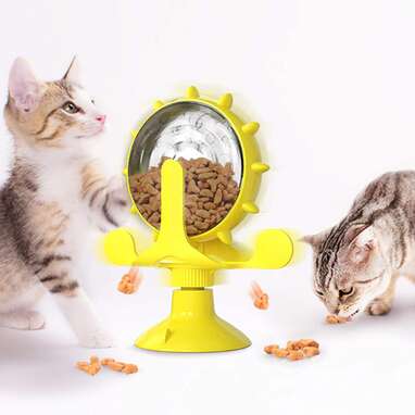 8 Best Cat Puzzle Feeders for Mealtime Enrichment - Vetstreet