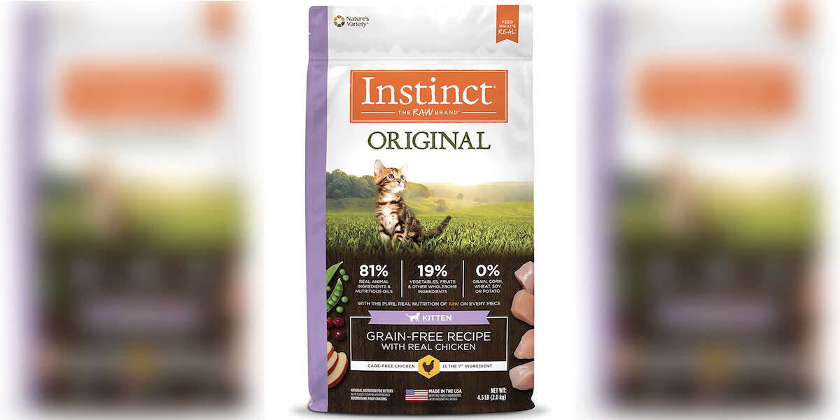 Best Kitten Food 7 Options For Growing Cats DodoWell