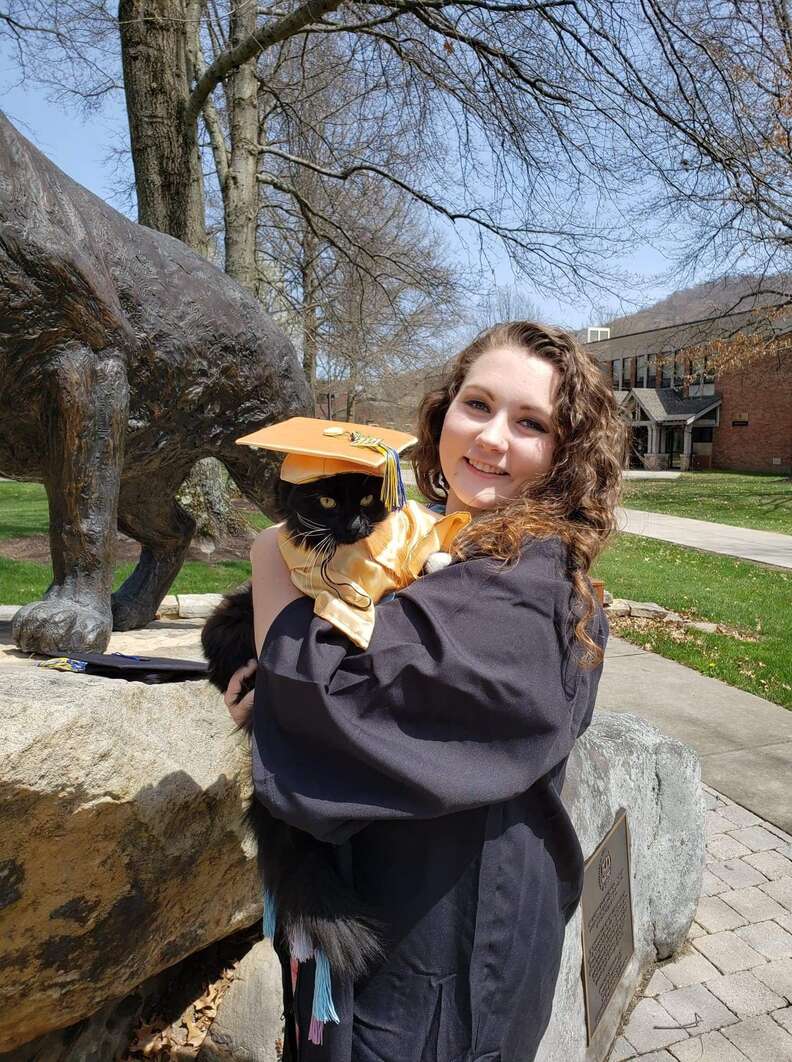 graduation cat