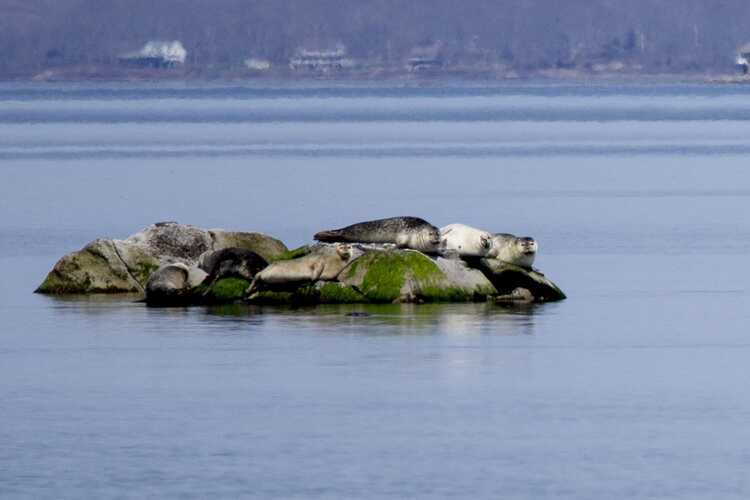 John H Chafee Nature Preserve