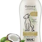 Coconut Lime Verbena Dog Shampoo