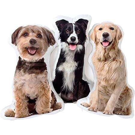 Custom Cutout Photo Pillow