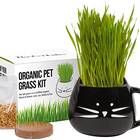 Organic Cat Grass Growing Kit In Black Mug