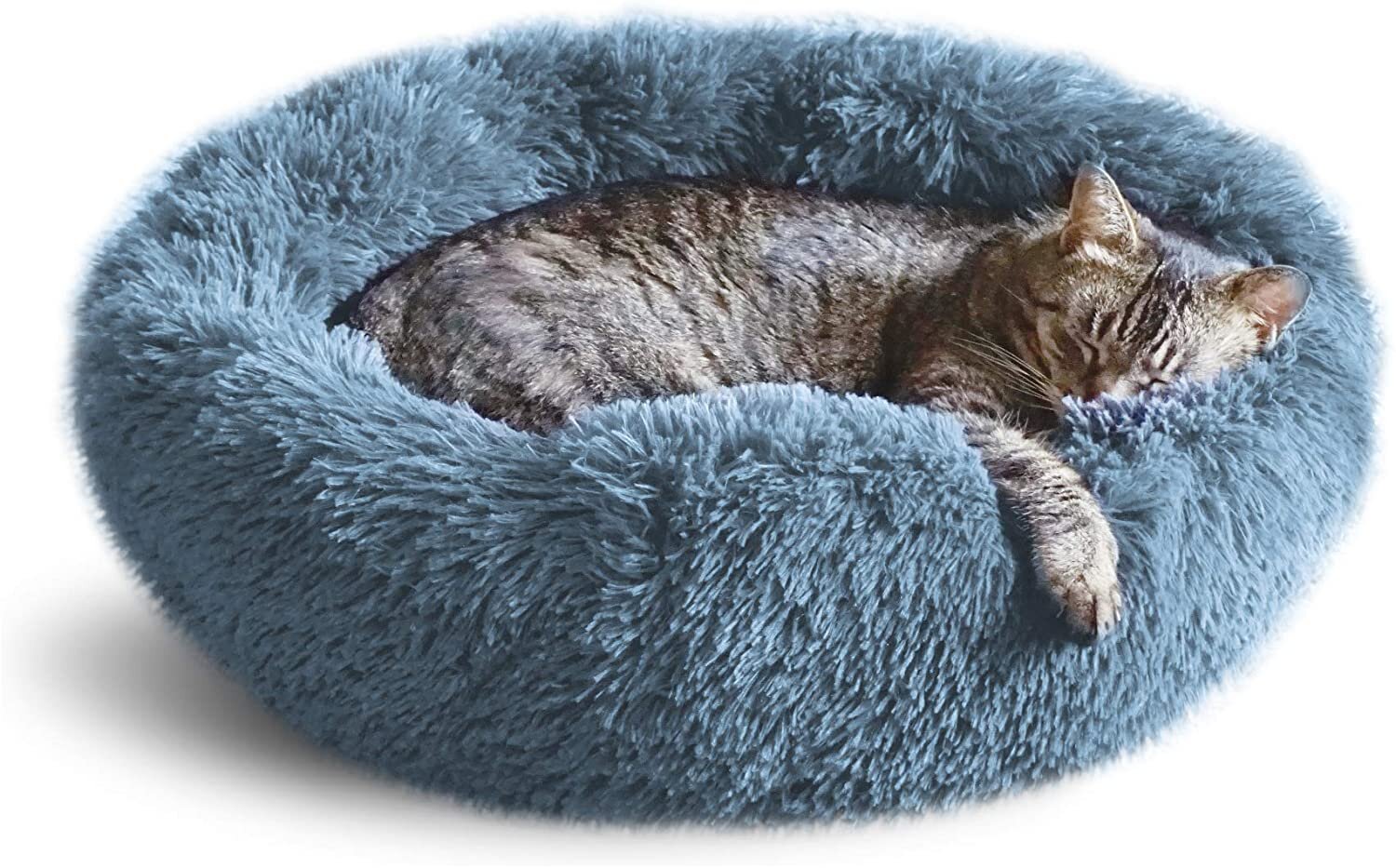 Whiskers & Friends Calming Orthopedic Cat Bed