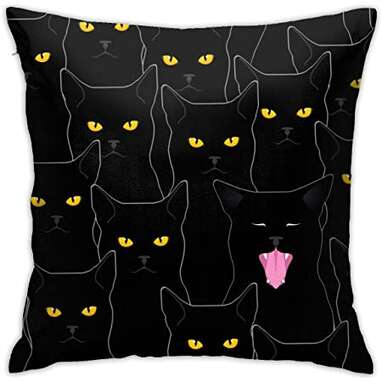 Black best sale cat lover