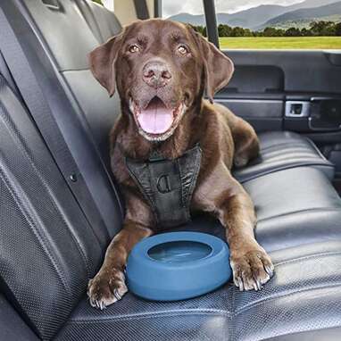 Slopper Stopper Dripless Water Bowl