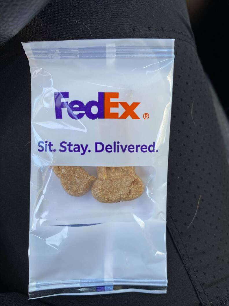 FedEx dog treats