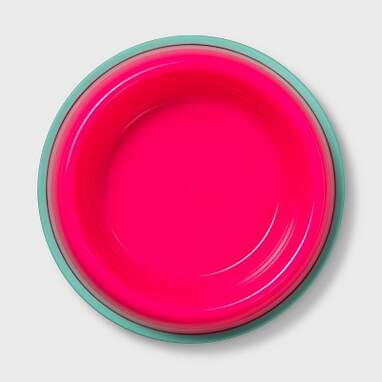 Plastic Dog Bowl