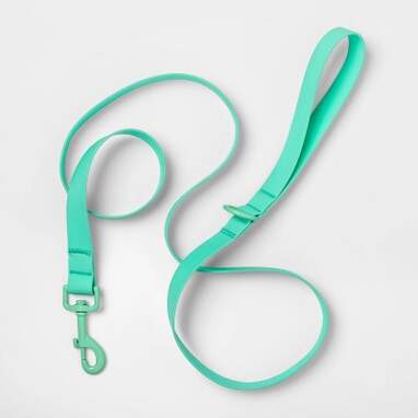 Silicone Dog Leash