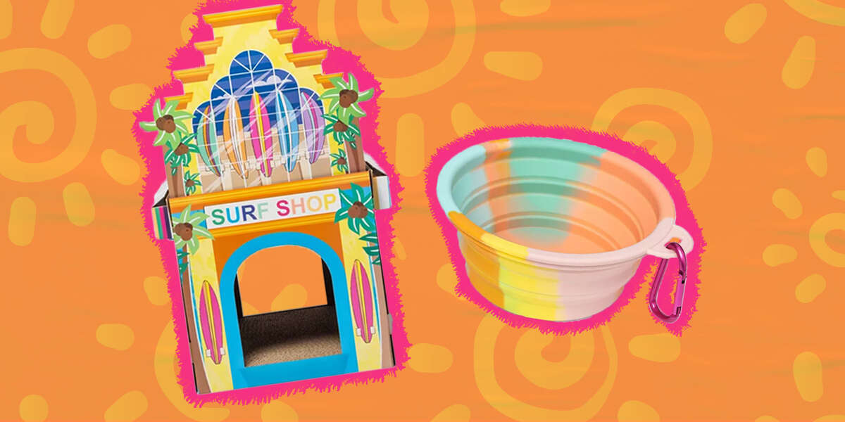 The Best Pet Items From Target's Summer 2021 Pet Squad Line DodoWell