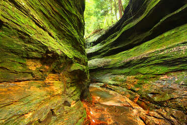 Turkey Run State Park