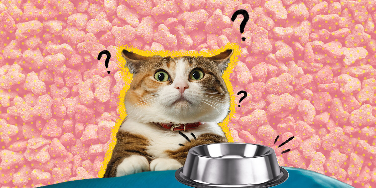 How many ounces should a kitten eat hot sale