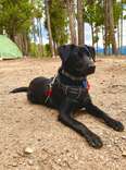 Belle of Colorado Campground