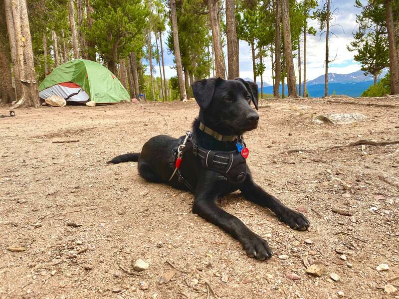 Camping & Hiking Near Denver Most Beautiful & Underrated Places to Go