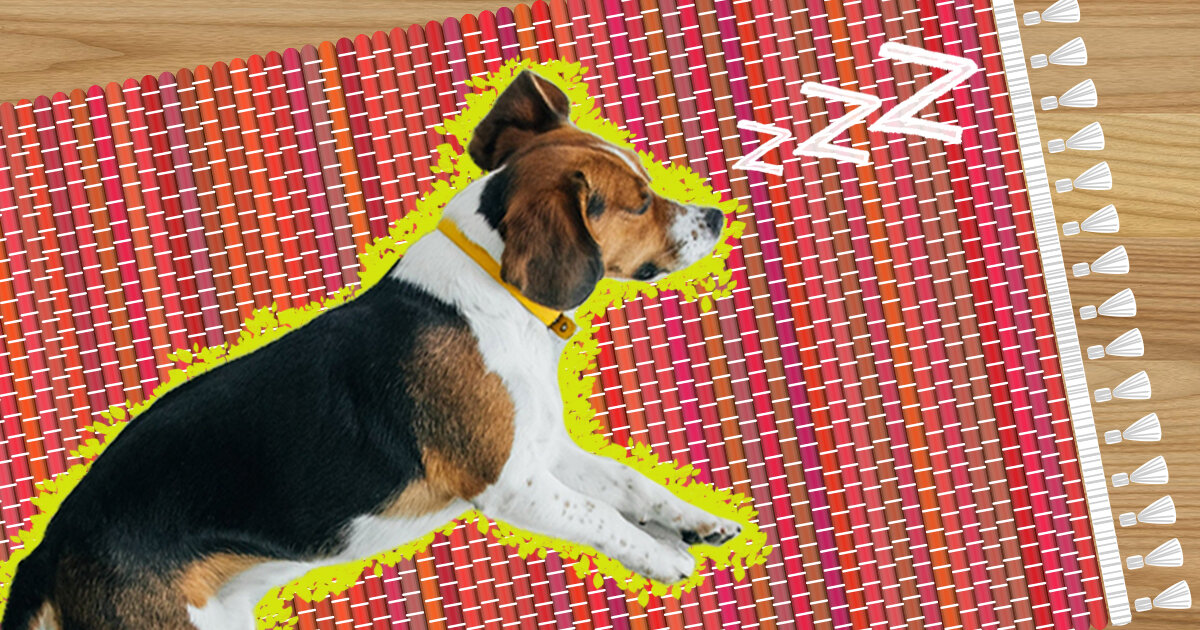 ruggable and dog pee