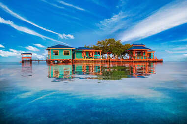 Bird Island, Belize