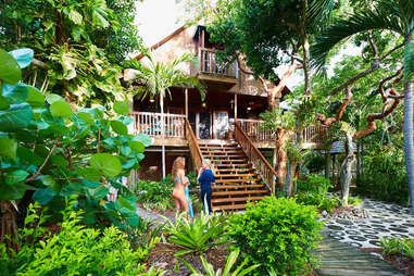 Seabird Island jungle cabin