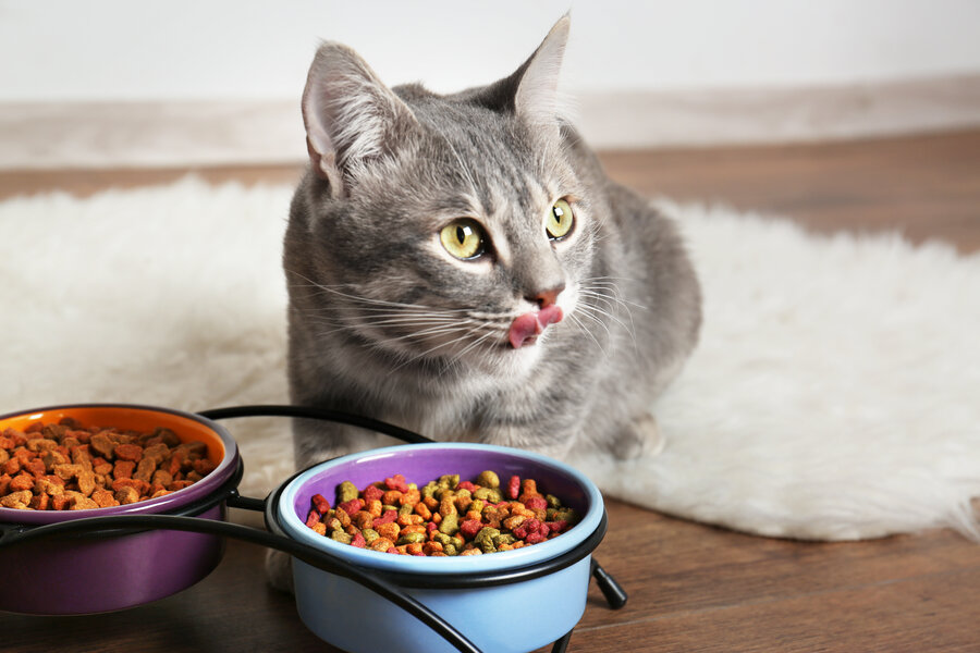 Feline natural cat food recall hotsell