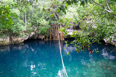 a large natural pool in a jungle
