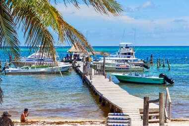 boats and a palm tree near a dock