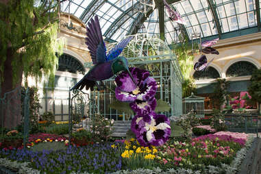 Bellagio conservatory 