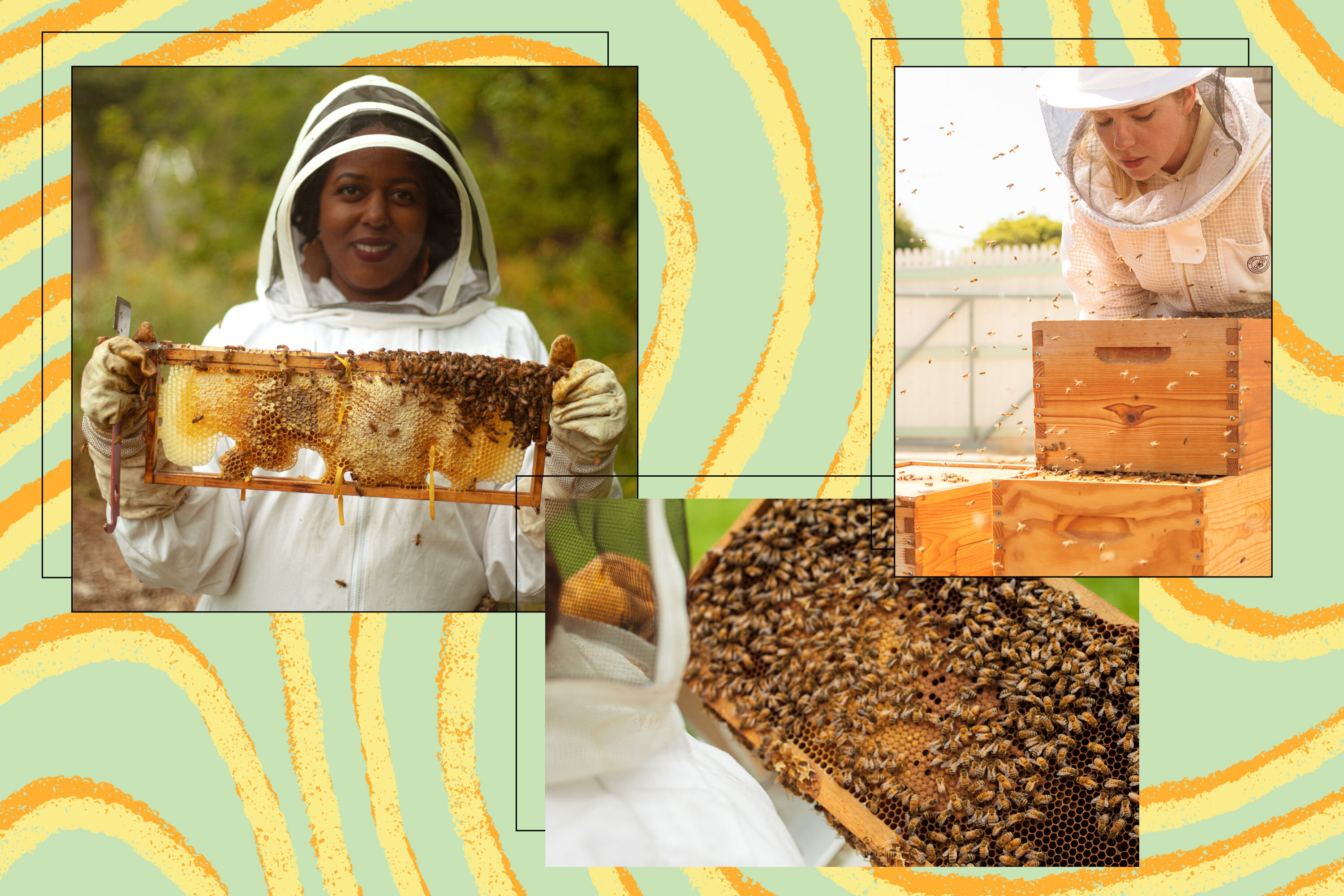 These Urban Beekeepers Are Helping Keep Pollinators in Big Cities