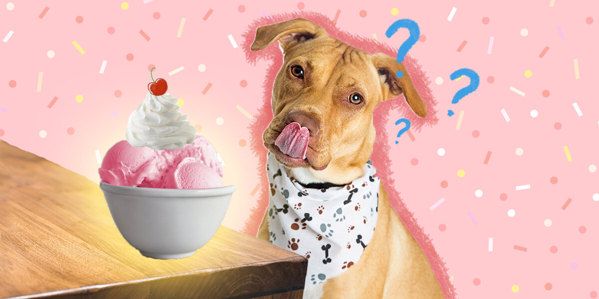 Can dogs eat mint ice cream best sale