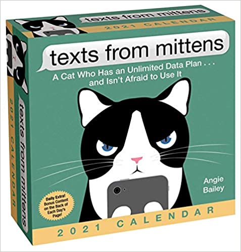 25 Funny Gifts For Cats DodoWell The Dodo