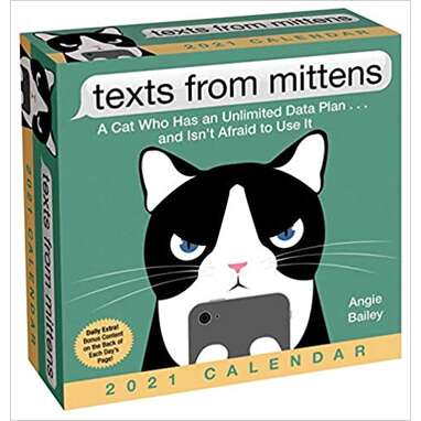Funny cat calendar