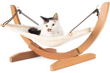 Cat hammock