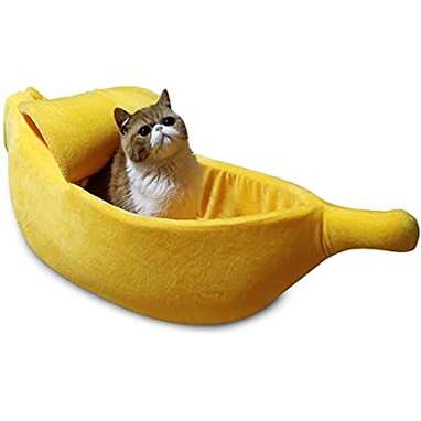 Funny cat bed