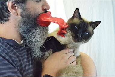 25 Funny Gifts For Cats DodoWell The Dodo