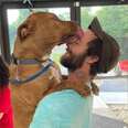Stolen Dog Immediately Demands A Hug When She's Reunited With Her Dad