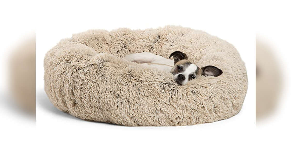 The 12 Best Puppy Products On Amazon DodoWell The Dodo