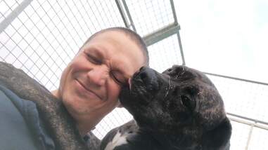 shelter dog