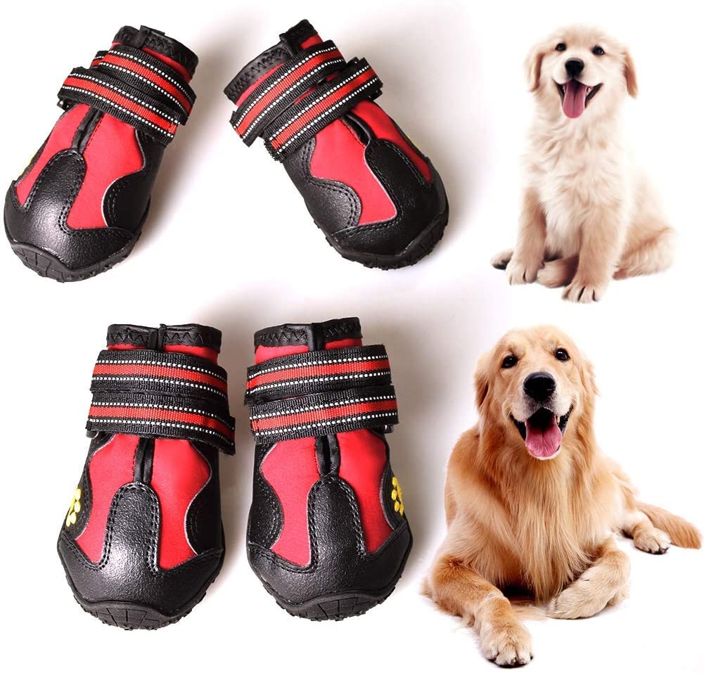 Top rated hot sale dog shoes