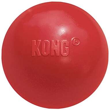 KONG Ball with Hole