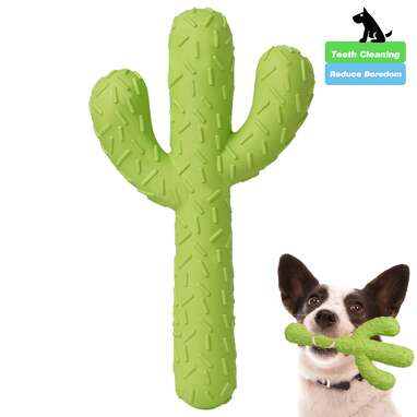 MewaJump Cactus Tough Toy