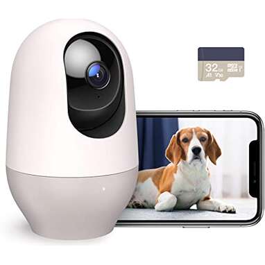 puppy cam amazon