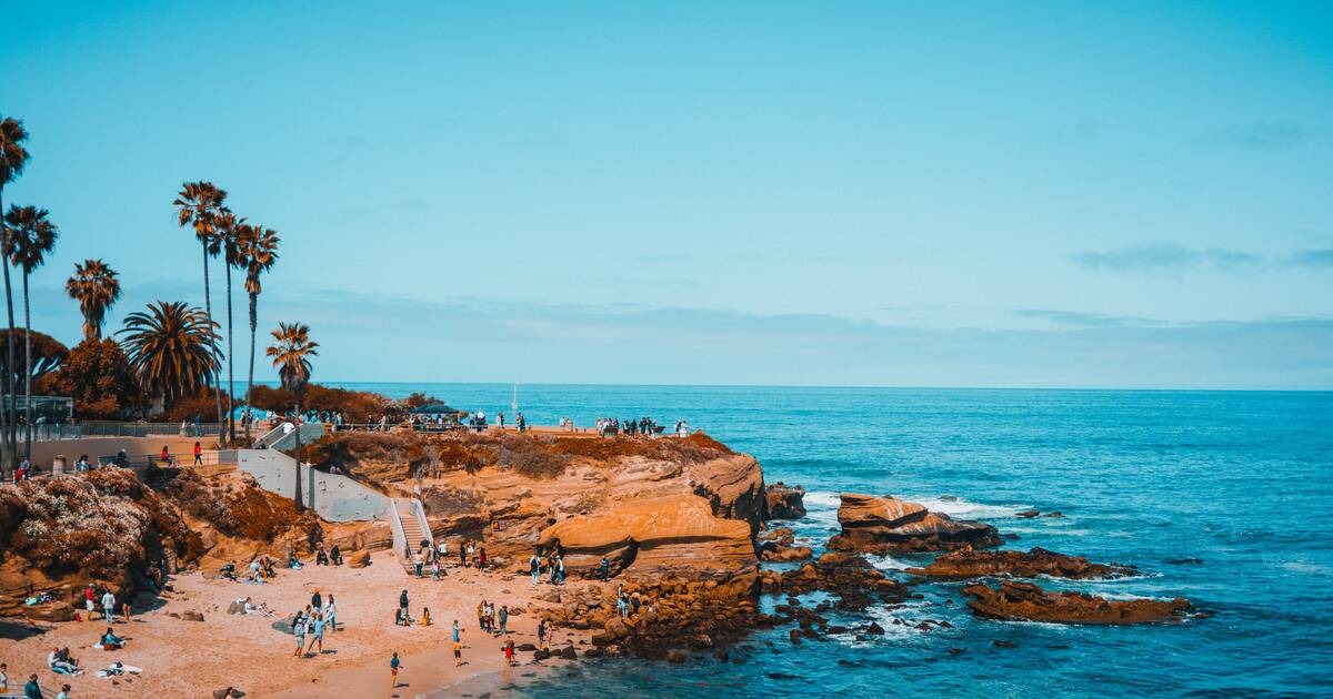 what beaches allow dogs in san diego